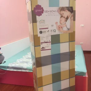 Đệm Thanh Bình grand 160x200